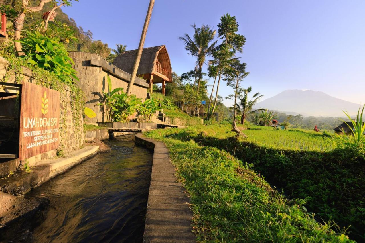 Romantic Barn With Mt. Agung Views Sidemen  Extérieur photo